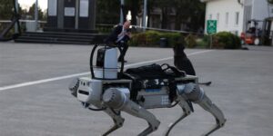 milli robot kopek 2026 basinda goreve hazir olacak bMKKjNrJ.jpg