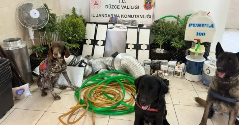 duzcede-uyusturucu-operasyonu-1-gozalti-9xHDyMQd.webp