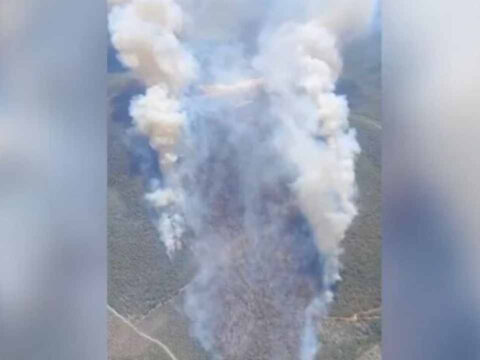 Manisada orman yangini cikti ekipler zamanla yarisiyor puCqr1vl