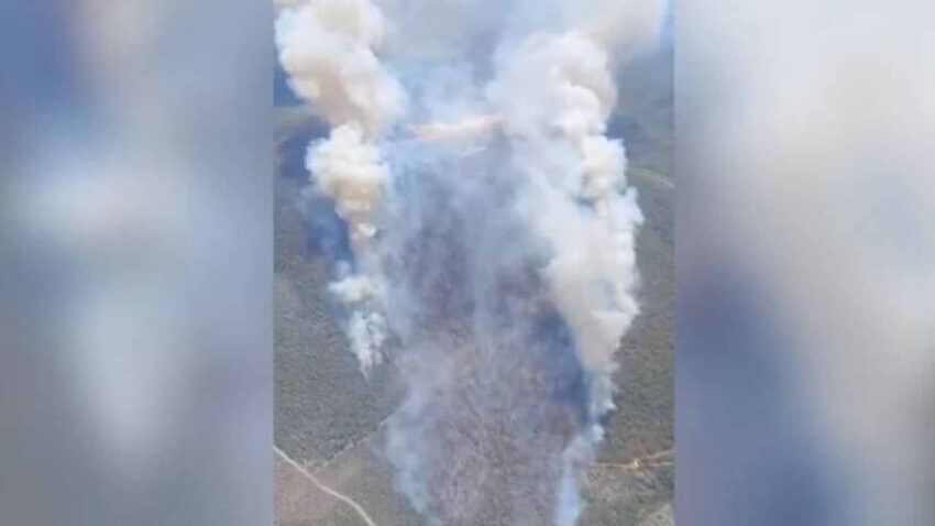 Manisada orman yangini cikti ekipler zamanla yarisiyor puCqr1vl